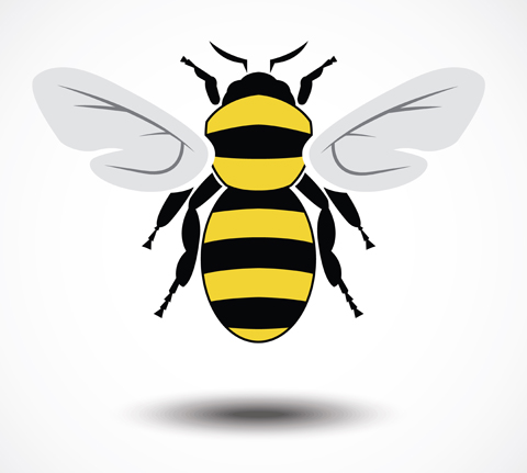 beekeeping